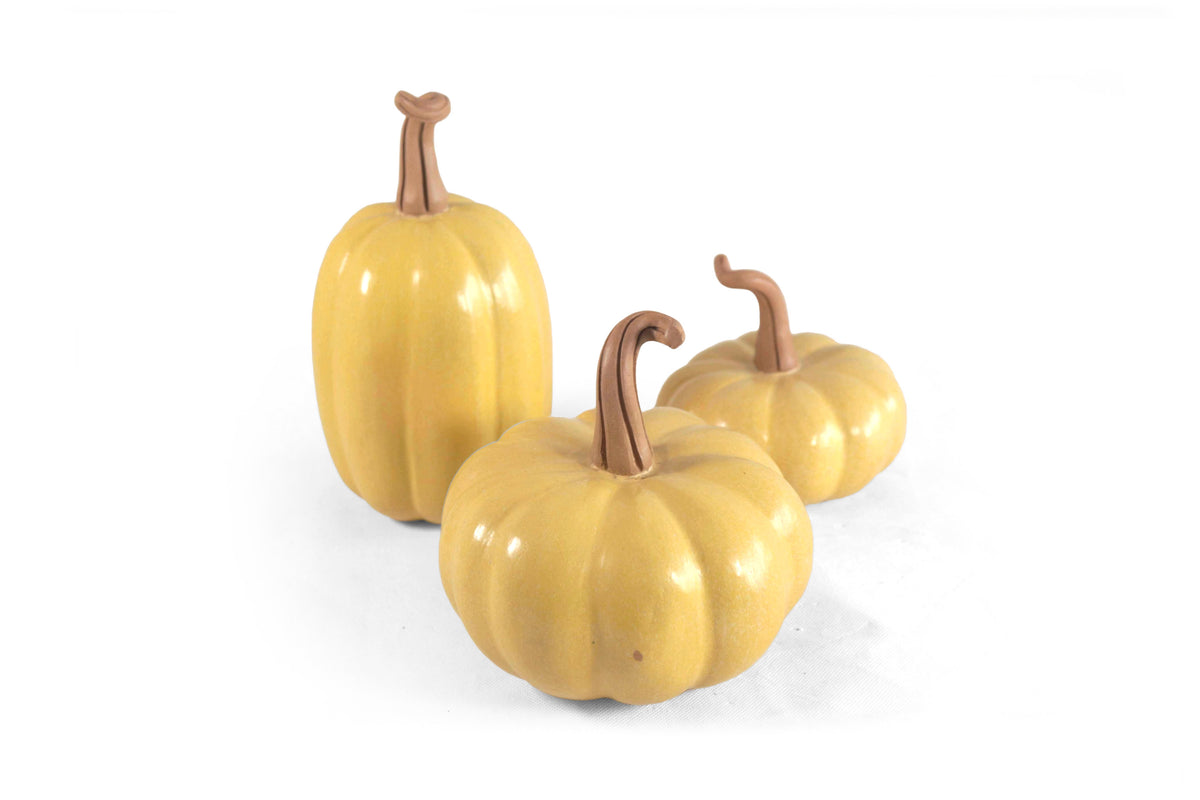 Juego de 3 calabazas amarillas Calabaza