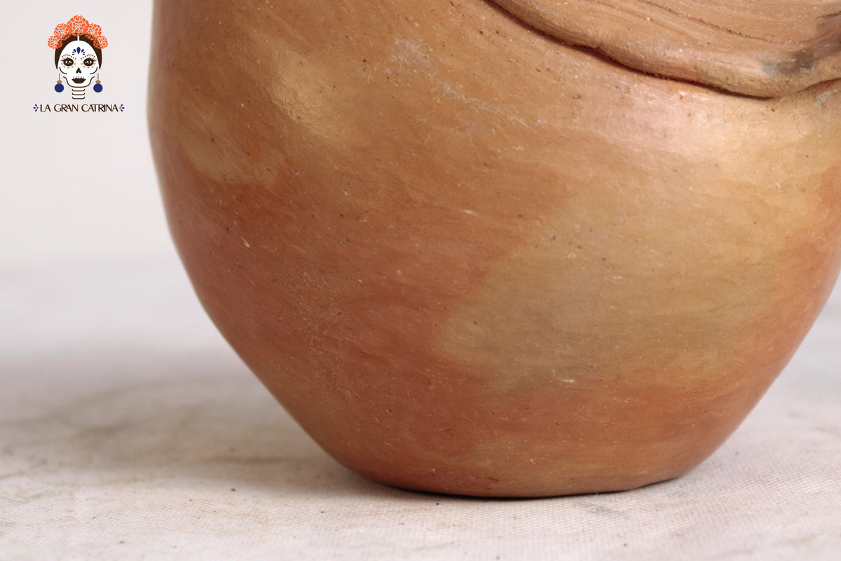 Alcancía Gallina Ancestral - 20.5 cm. 08 in.