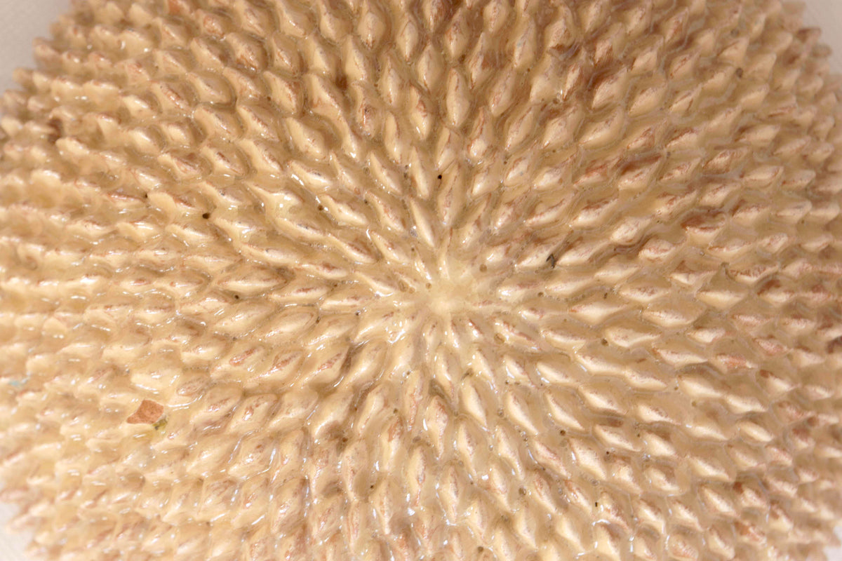 Esferas vidriadas beige de pared