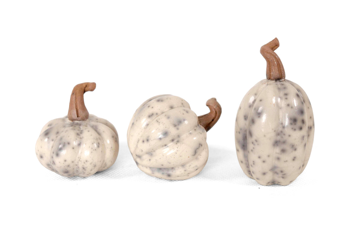 Juego de 3 calabazas blancas miniatura Calabaza