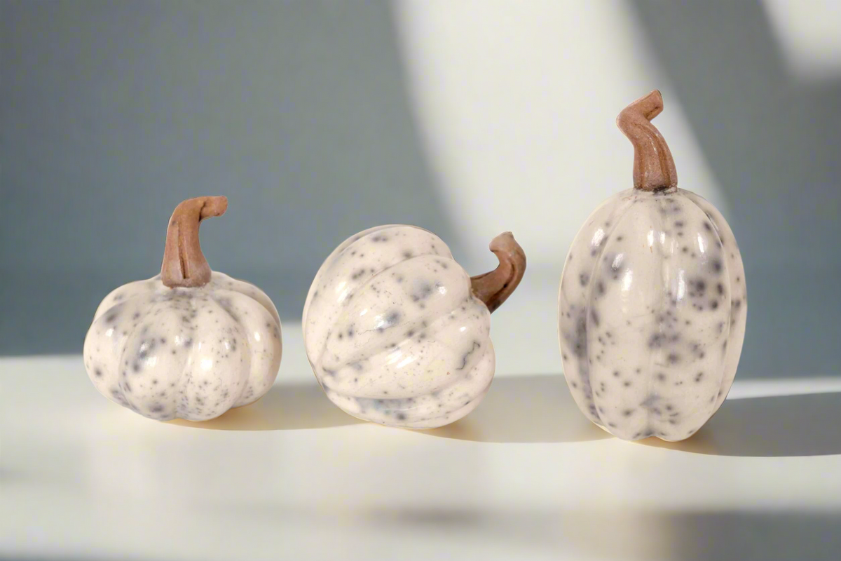 Juego de 3 calabazas blancas miniatura Calabaza