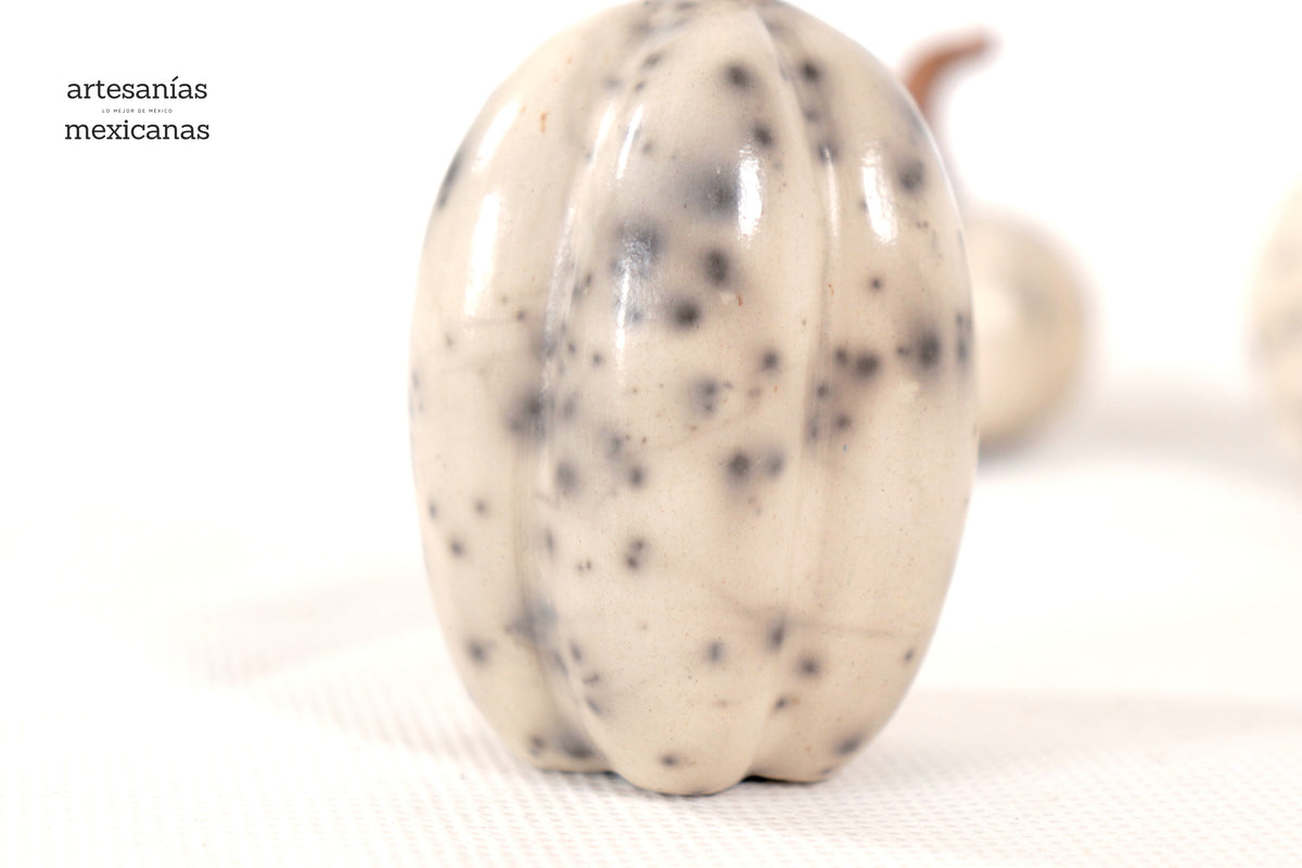 Juego de 3 calabazas blancas miniatura Calabaza