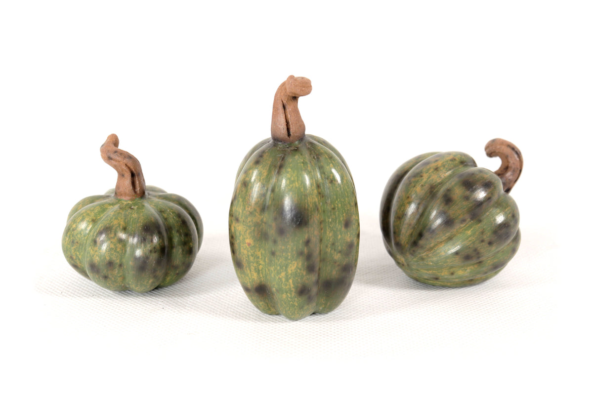 Juego de 3 calabazas verdes miniatura Calabaza