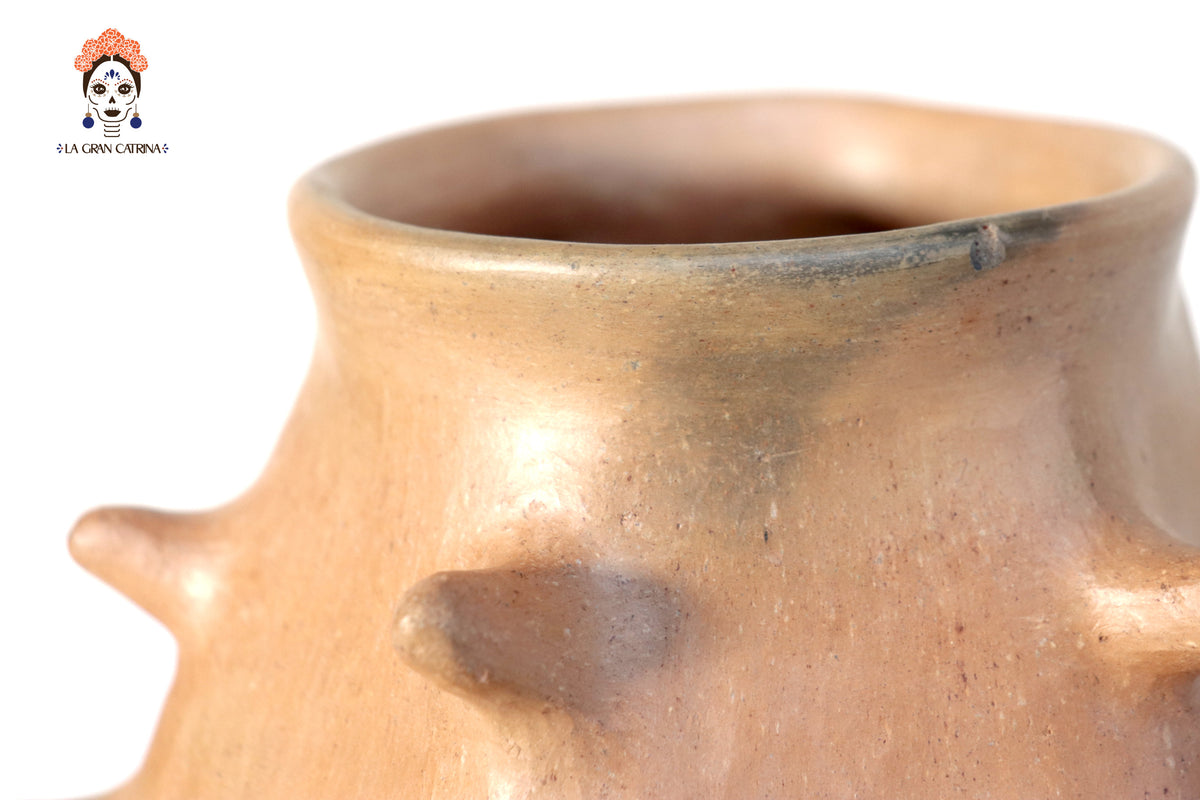 Vasija Mixe Ancestral de picos - 20 Cm. 7.8 In. Mixe