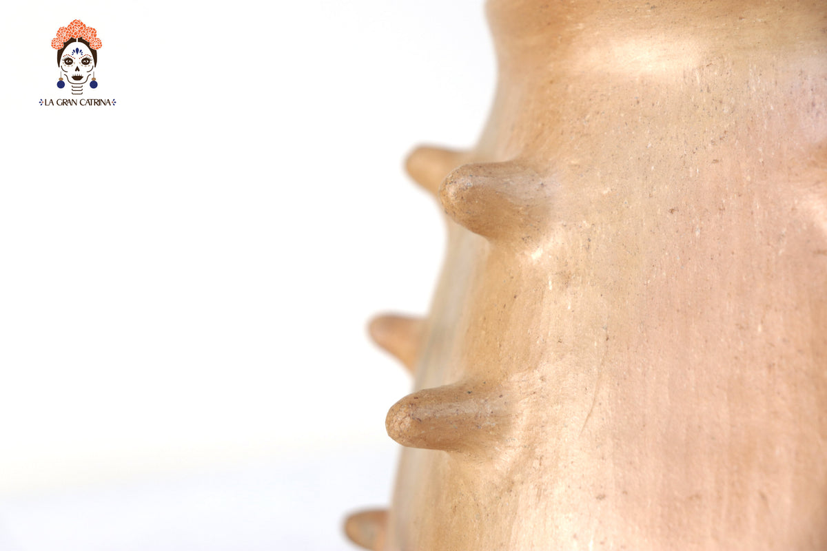 Vasija Mixe Ancestral de picos - 20 Cm. 7.8 In. Mixe