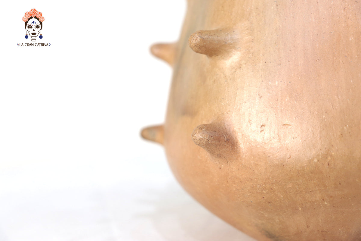 Vasija Mixe Ancestral de picos - 20 Cm. 7.8 In. Mixe