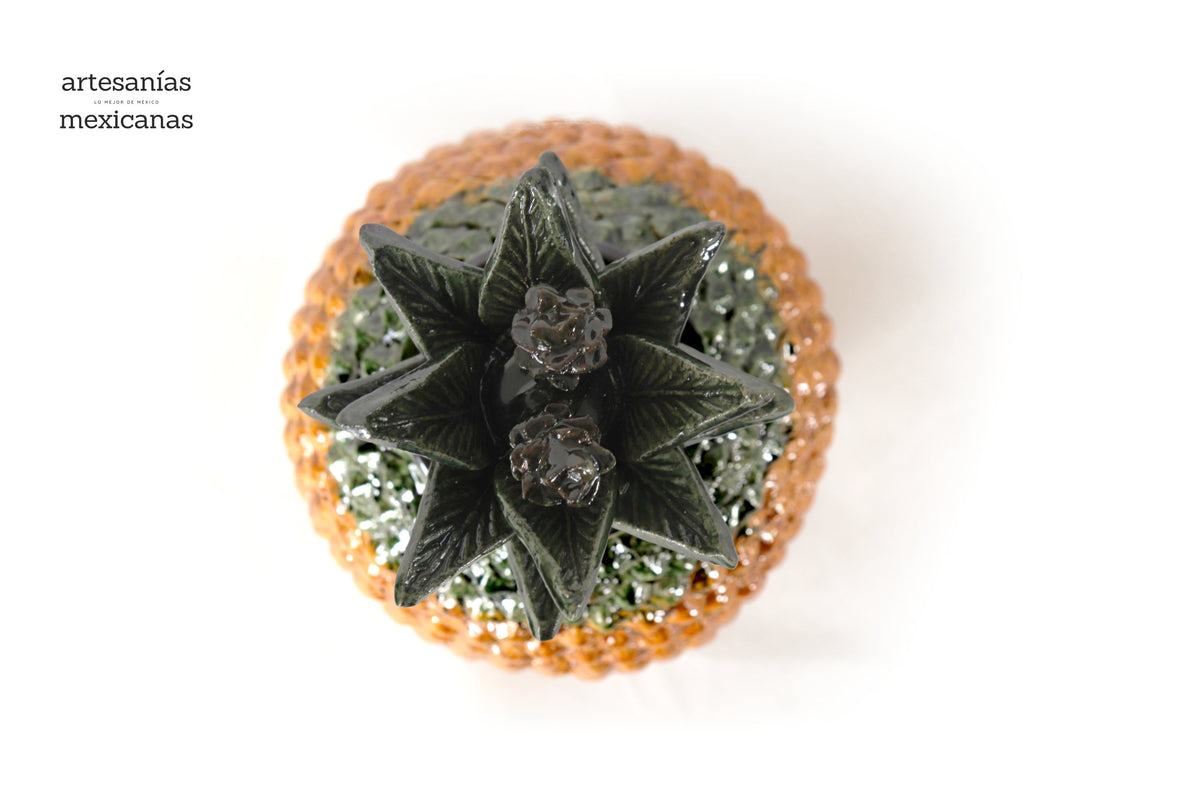 Piña michoacana de barro - Piña natural - 45 cm. 18 in.