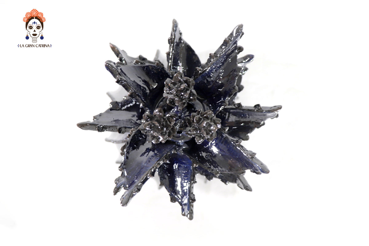 Piña azul de biznaga con tapa especial - 50 cm. 19.6 in.