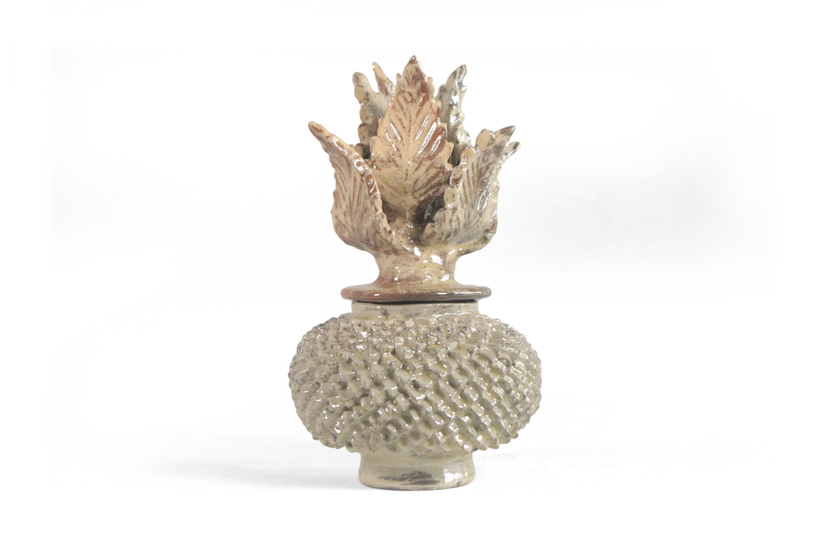 Piña Beige de Picos con Tapa Curveada - 21 cm. 8.5 in.