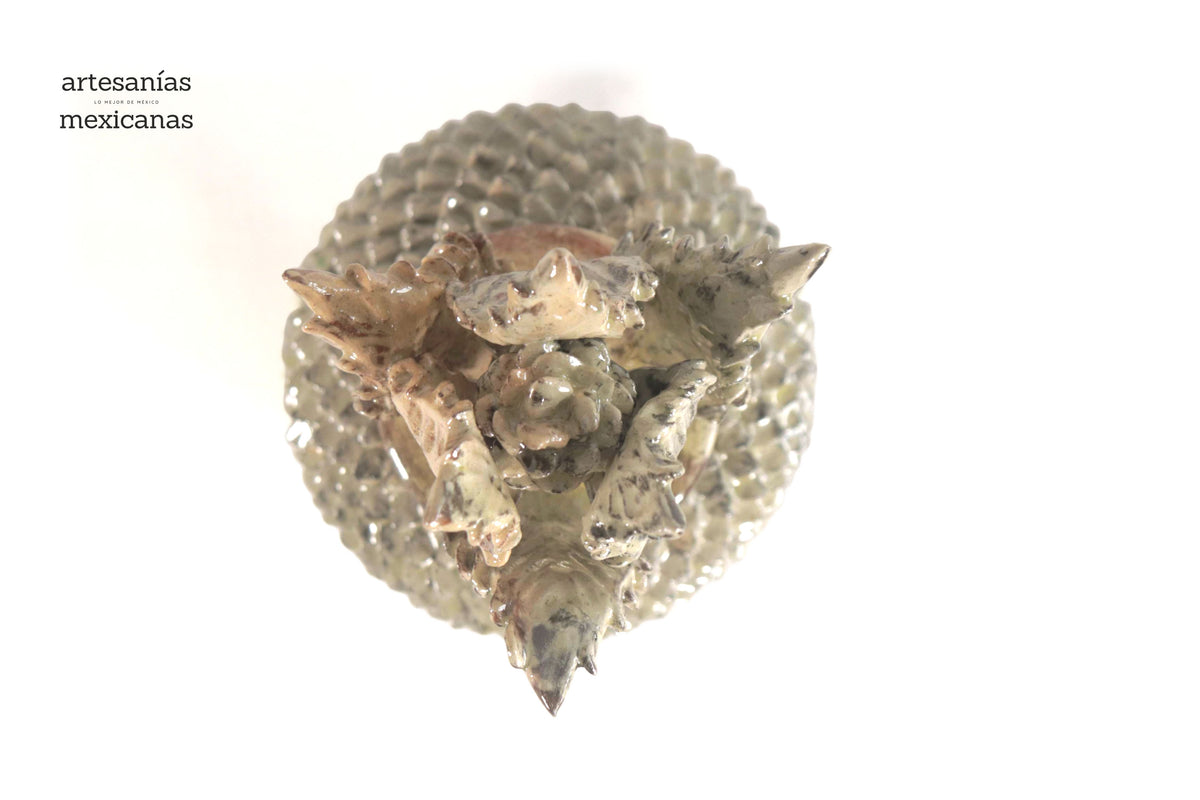 Piña Beige de Picos con Tapa Curveada - 21 cm. 8.5 in.