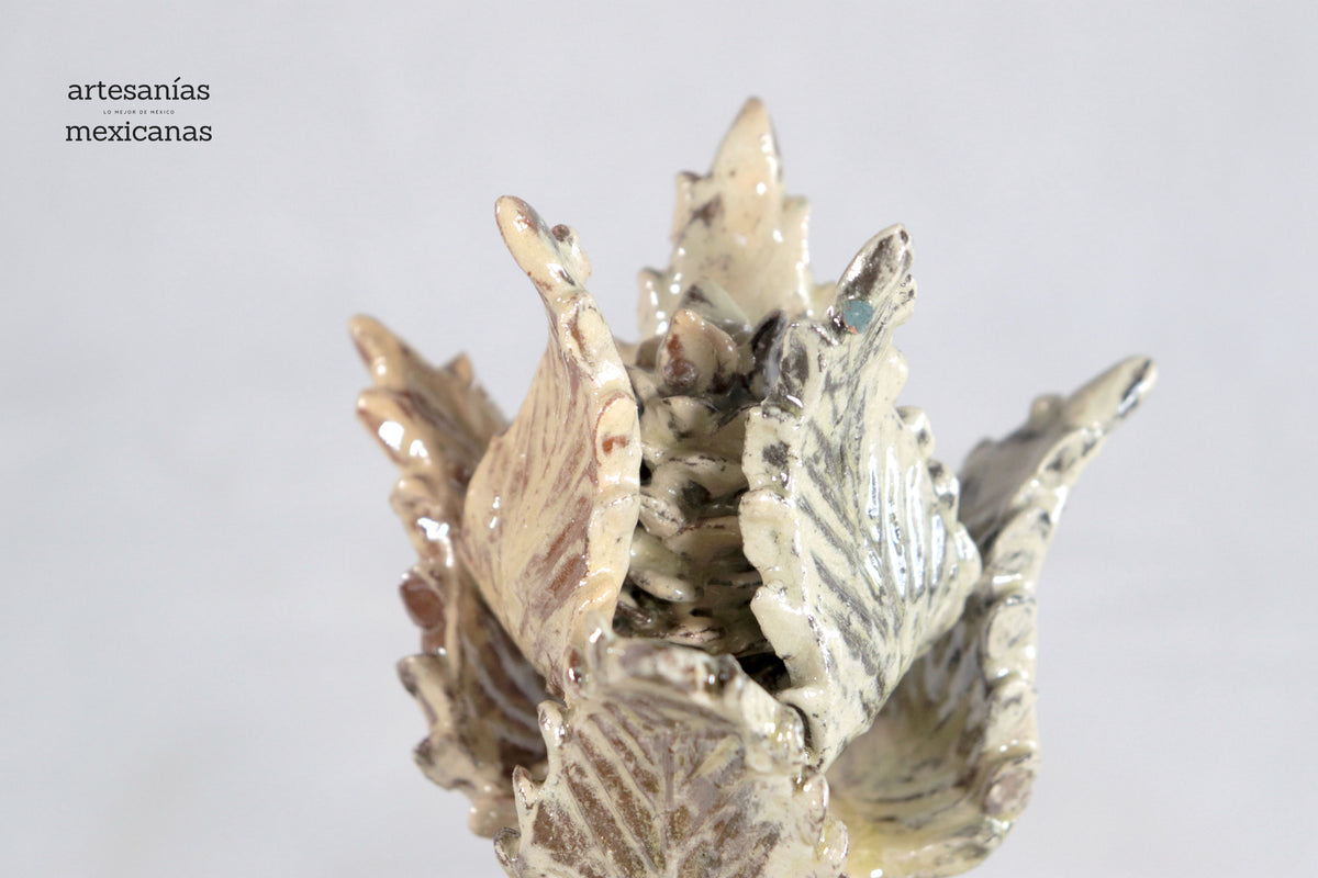 Piña Beige de Picos con Tapa Curveada - 21 cm. 8.5 in.