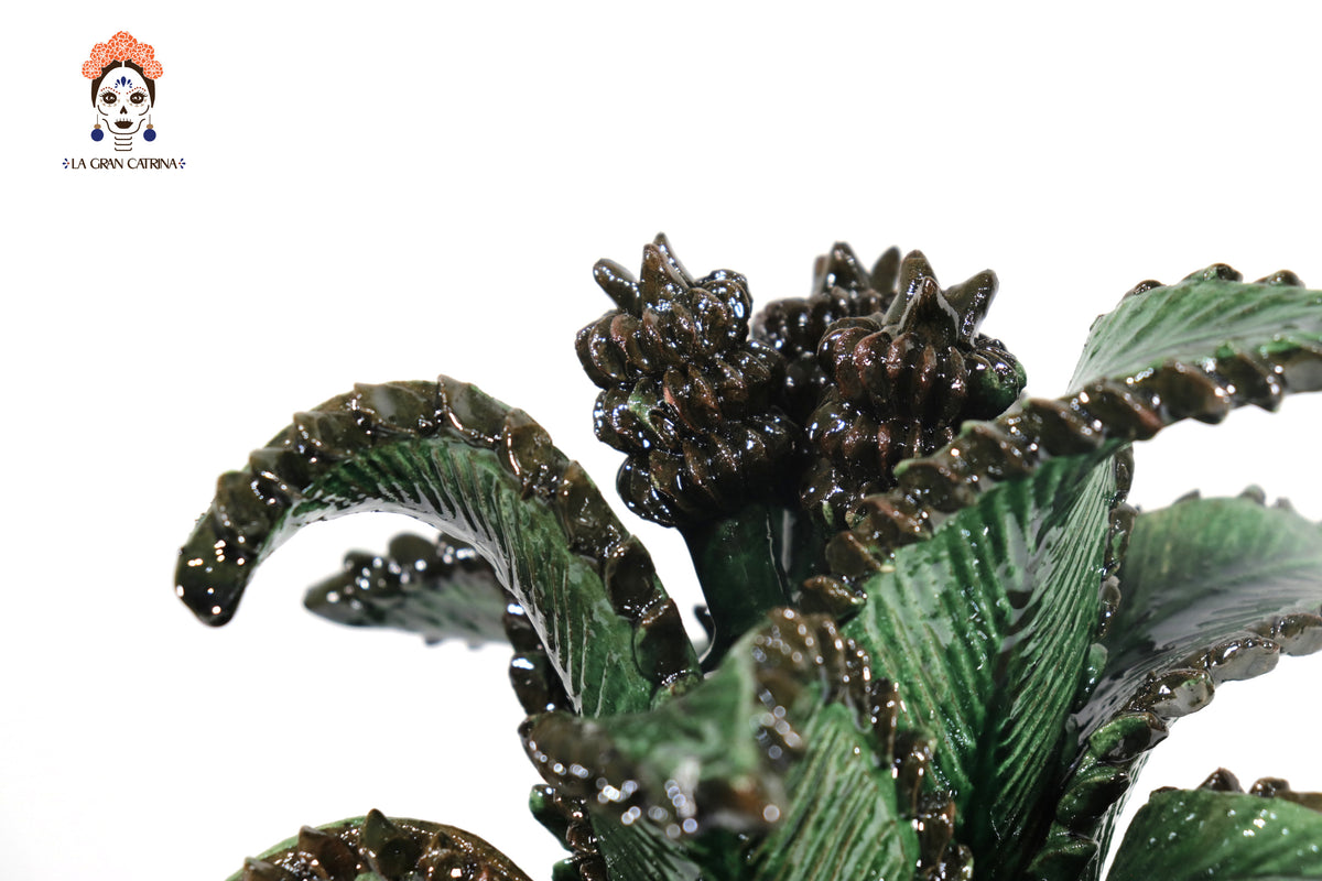 Piña Verde de Picos con Hojas Curveadas - 38 cm. 15 in. - Sobre Pedido