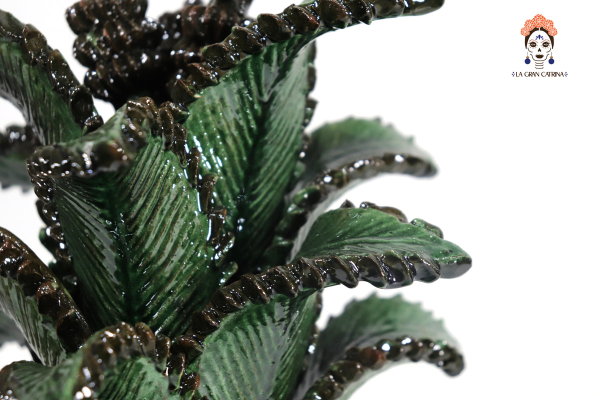 Piña Verde de Picos con Hojas Curveadas - 38 cm. 15 in. - Sobre Pedido