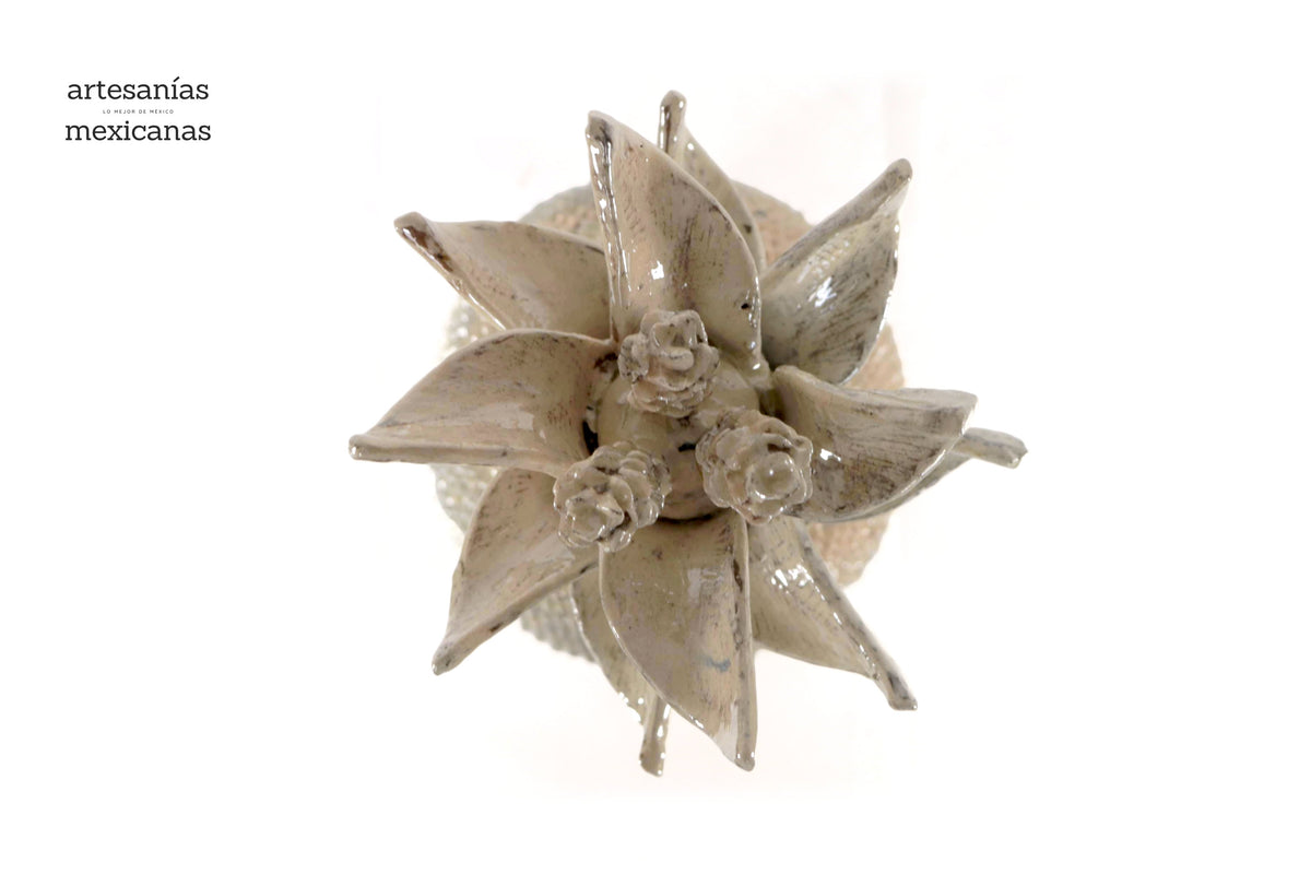 Piña beige de picos de tapa ondulada - 50 cm. 20 in. - Sobre Pedido Sobre pedido