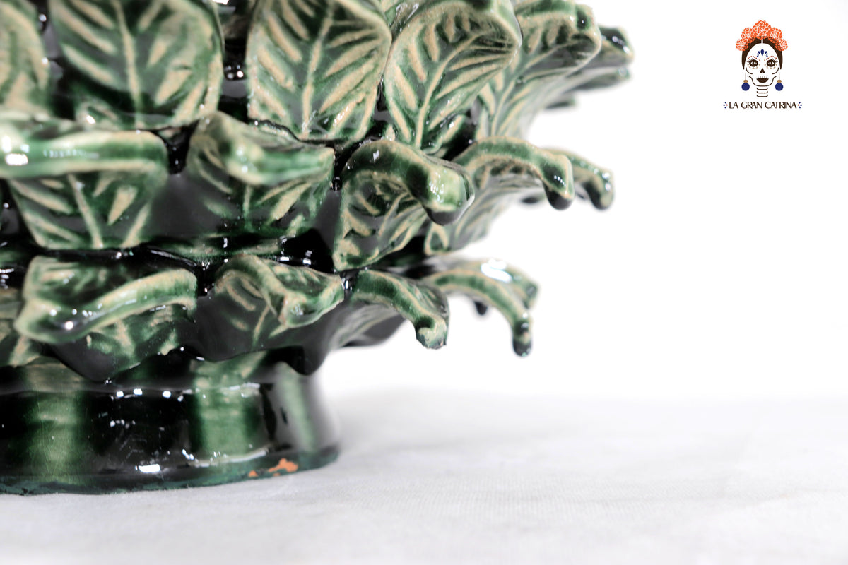 Piña verde de hojas de tapa curveada - 50 cm. 20 in.