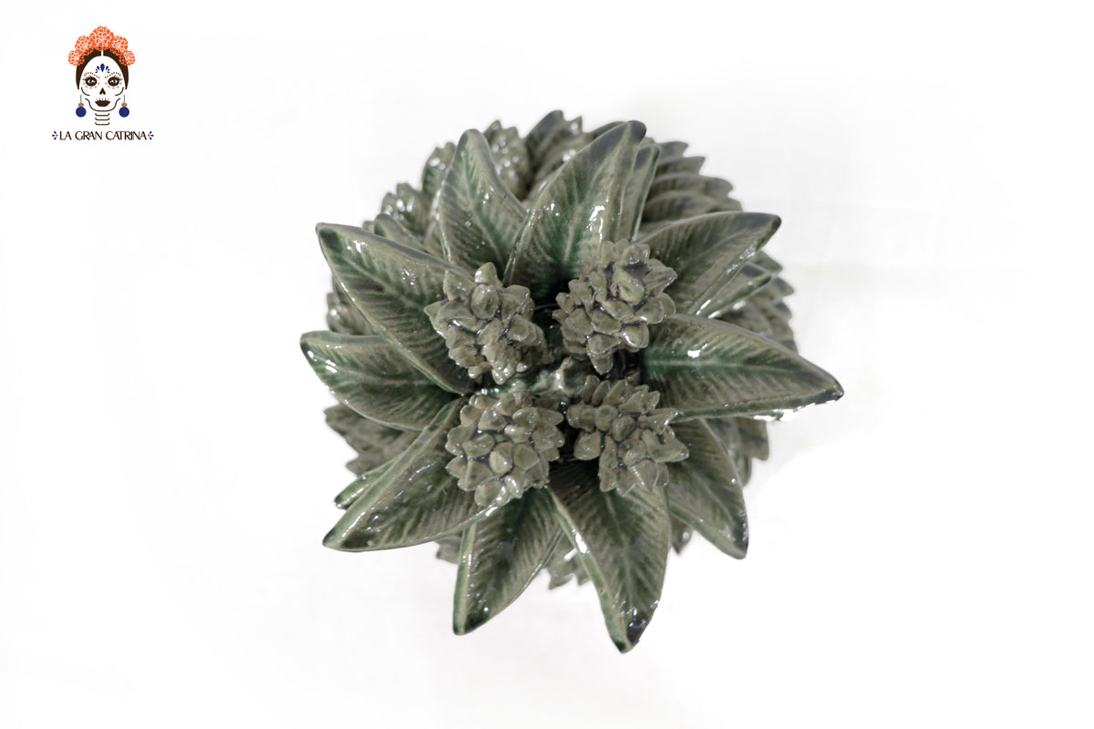 Piña verde de hojas de tapa curveada - 50 cm. 20 in.