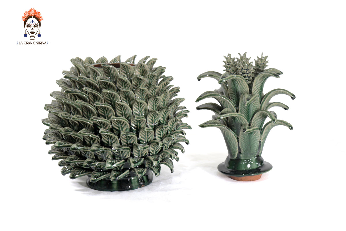 Piña verde de hojas de tapa curveada - 50 cm. 20 in.