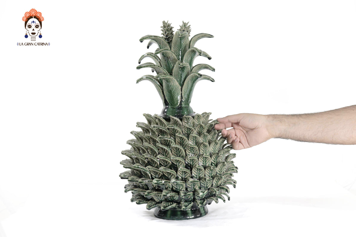 Piña verde de hojas de tapa curveada - 50 cm. 20 in.