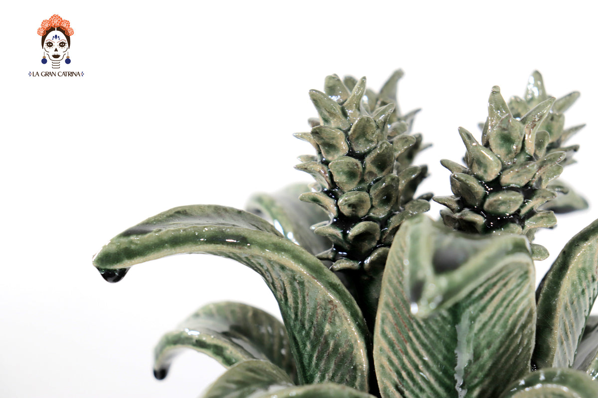 Piña verde de hojas de tapa curveada - 50 cm. 20 in.