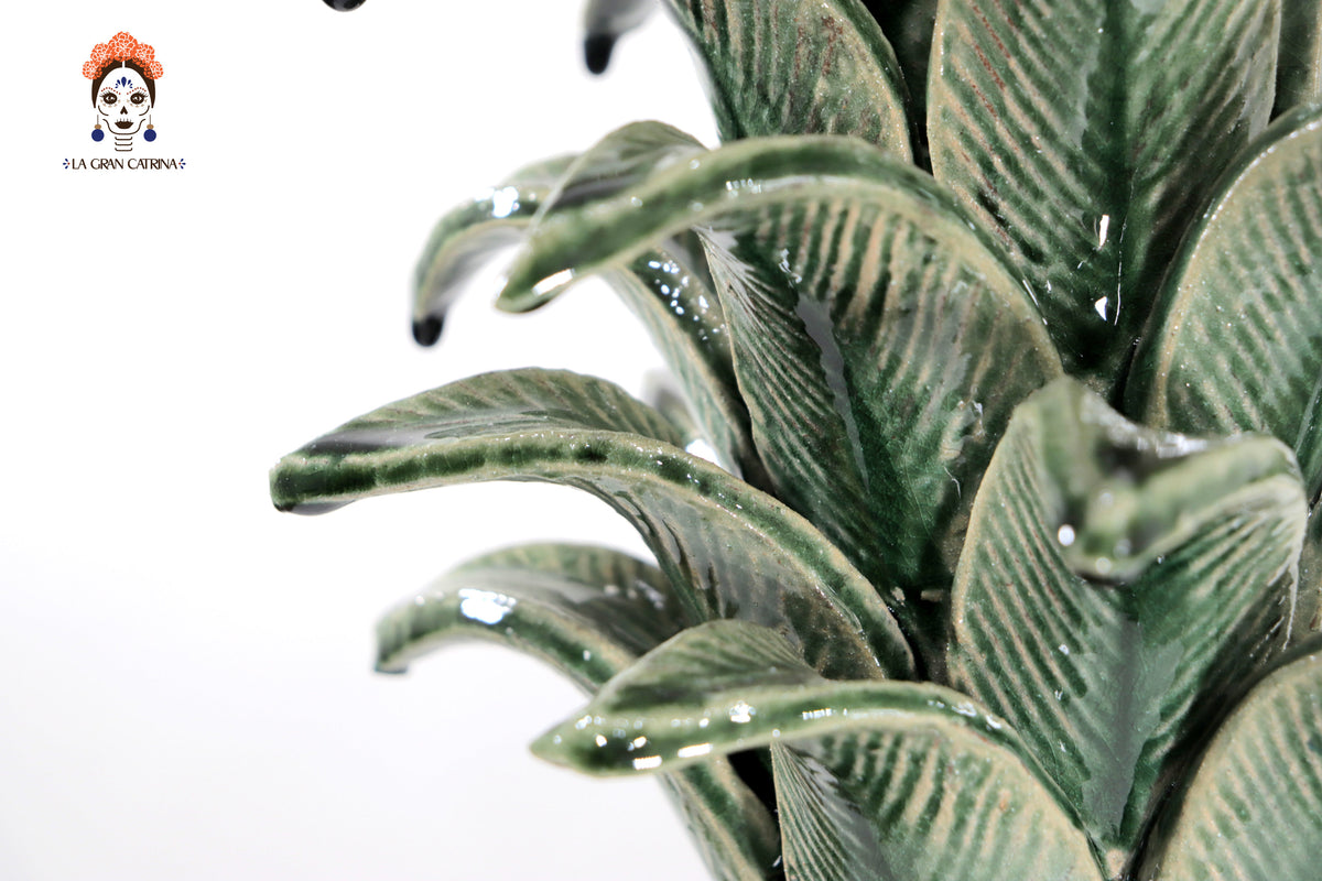 Piña verde de hojas de tapa curveada - 50 cm. 20 in.