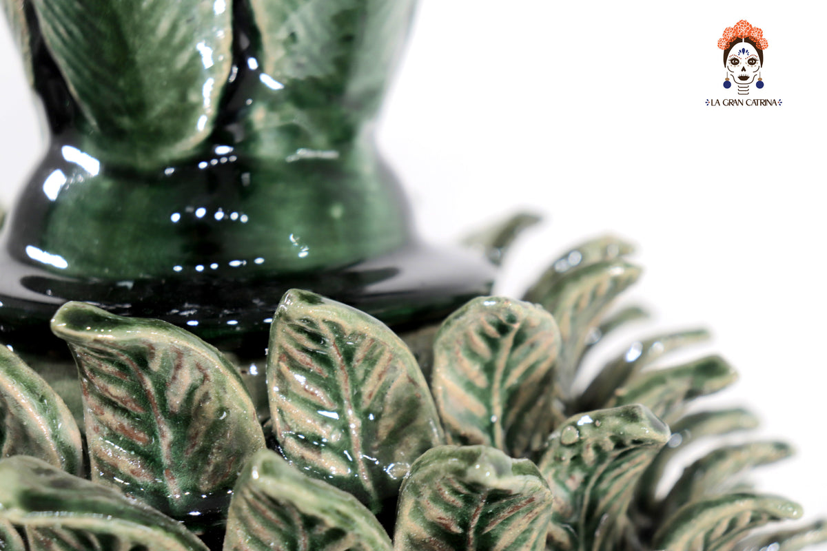 Piña verde de hojas de tapa curveada - 50 cm. 20 in.