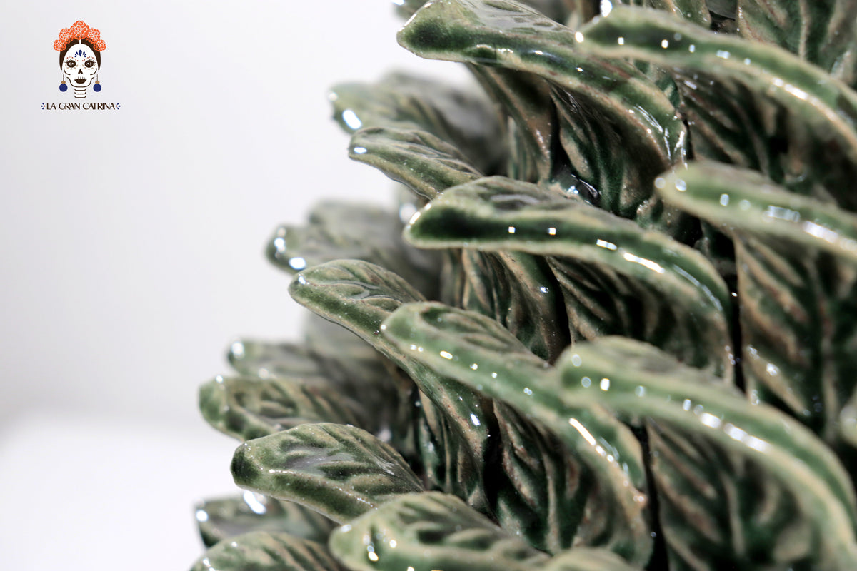 Piña verde de hojas de tapa curveada - 50 cm. 20 in.