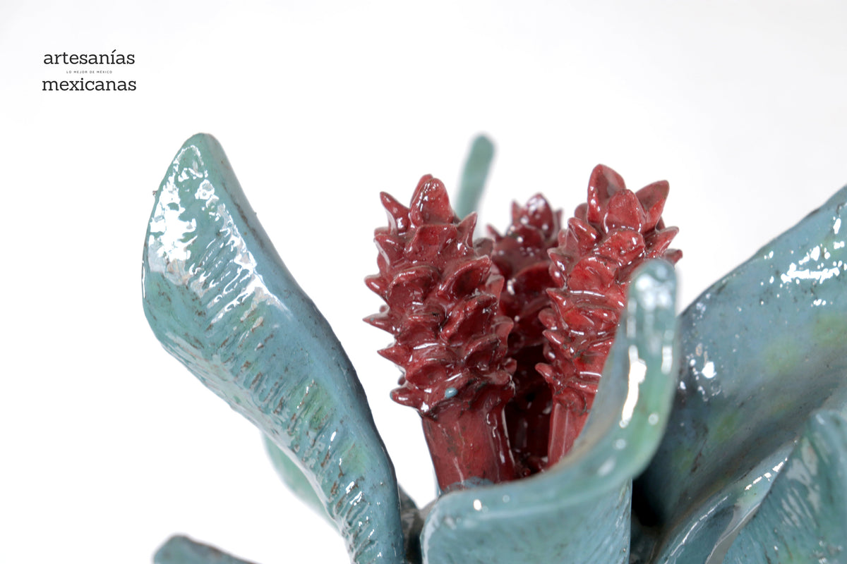 Piña biznaga cactácea de tapa ondulada - 48 cm. 18.8 in. - Sobre Pedido