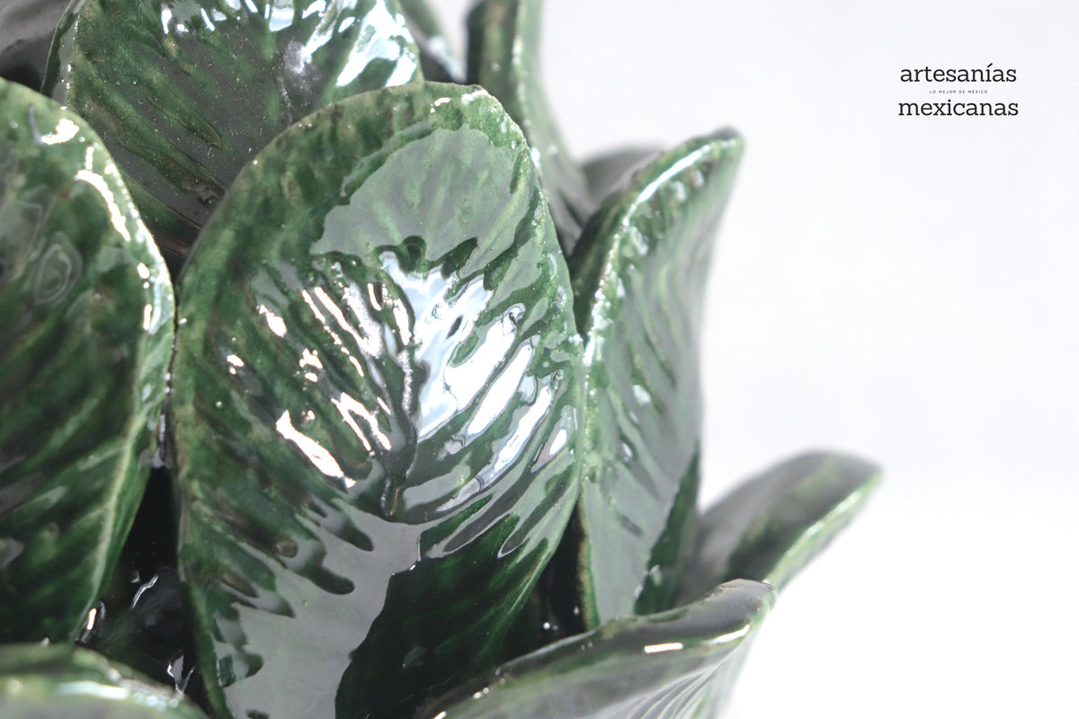 Juego de Coles Verdes (Grande y Chica) - Sobre Pedido