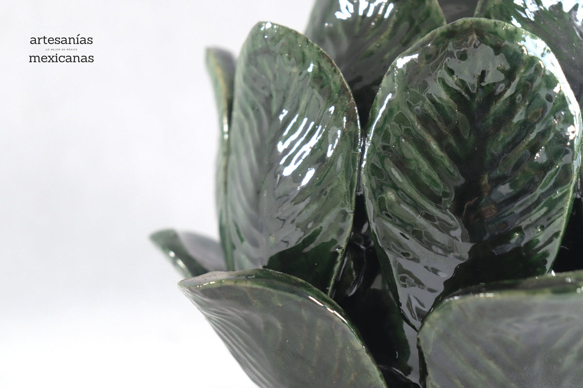 Juego de Coles Verdes (Grande y Chica) - Sobre Pedido