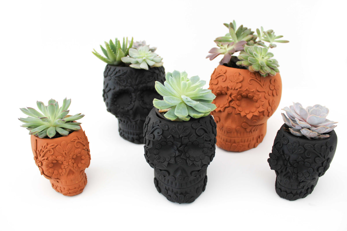 Maceta Cráneo Barro Negro con Flores Relieve - 10 Cm 3.9 In. Maceta