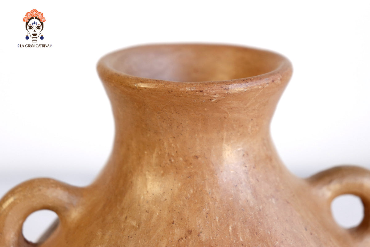 Vasija Mixe Ancestral con 6 Asas - 18.3 cm. 7.2 in.