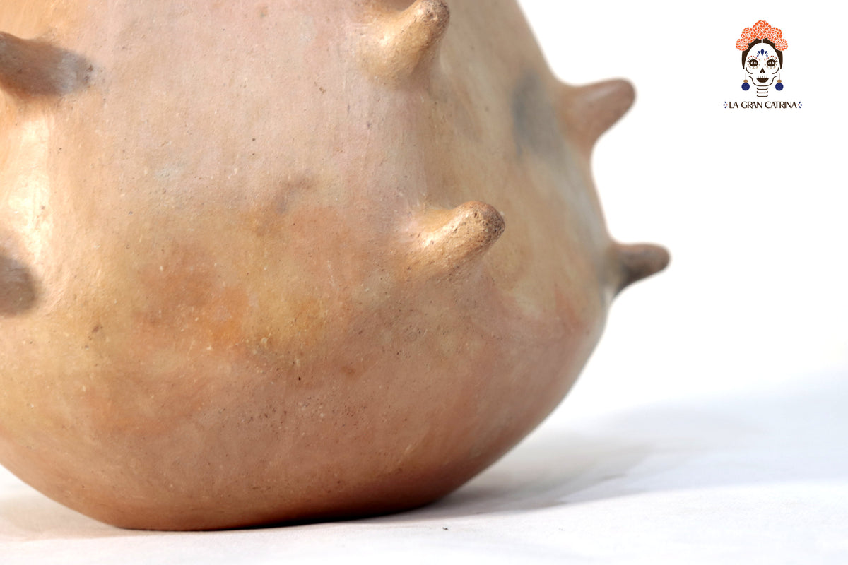 Vasija Mixe Ancestral de picos - 20 Cm. 7.8 In. Mixe