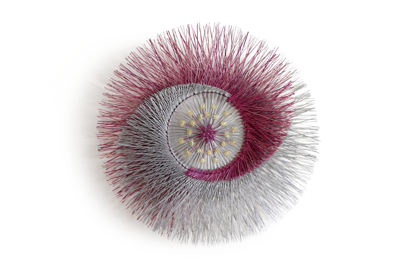 Círculo de Trigo - Eclipse Rosa - 100 cm. 40 in. Círculo de Trigo