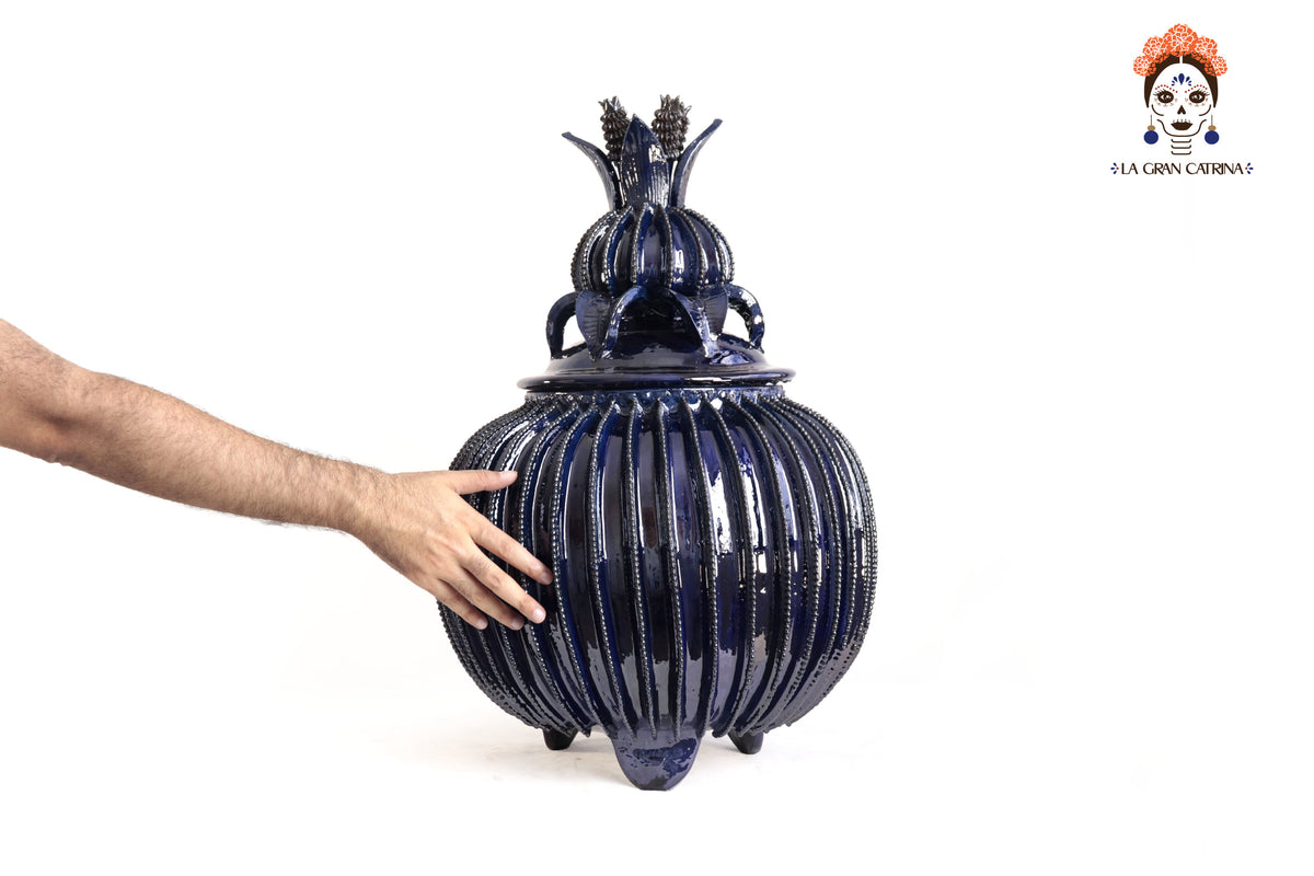 Comanja Azul Biznaga - 64 cm. 25 in. Piña