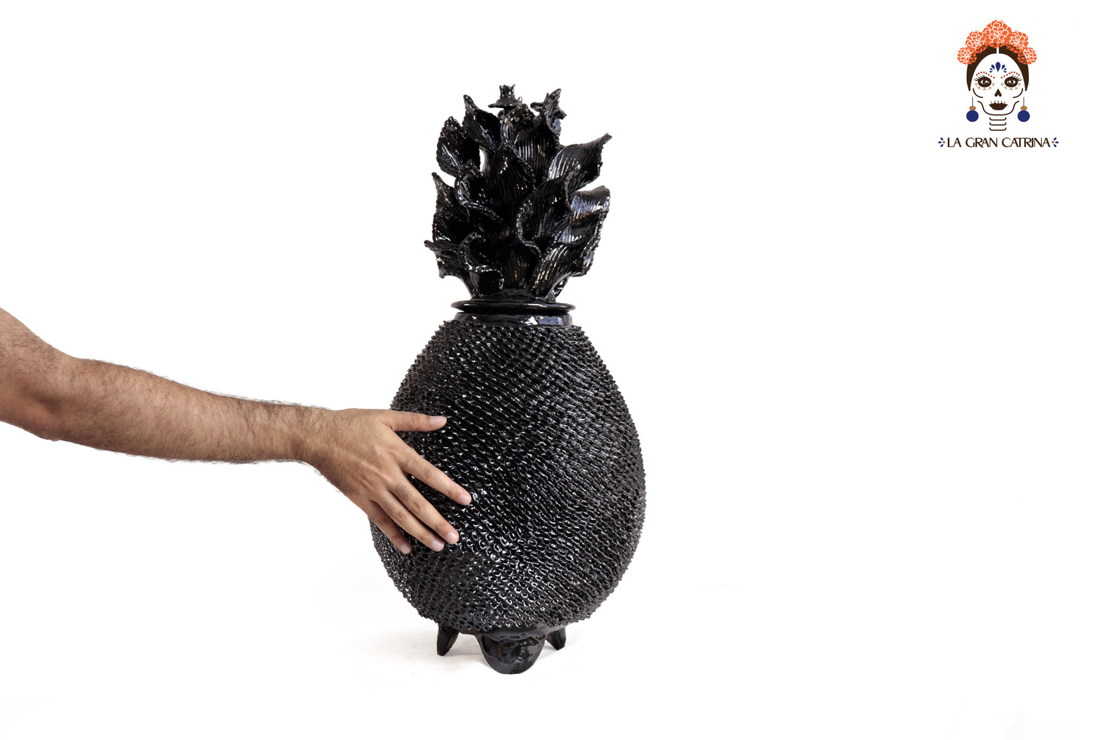 Piña Michoacana Negra con Picos y Tapa Curveada - 65 cm. 26 in. Piña