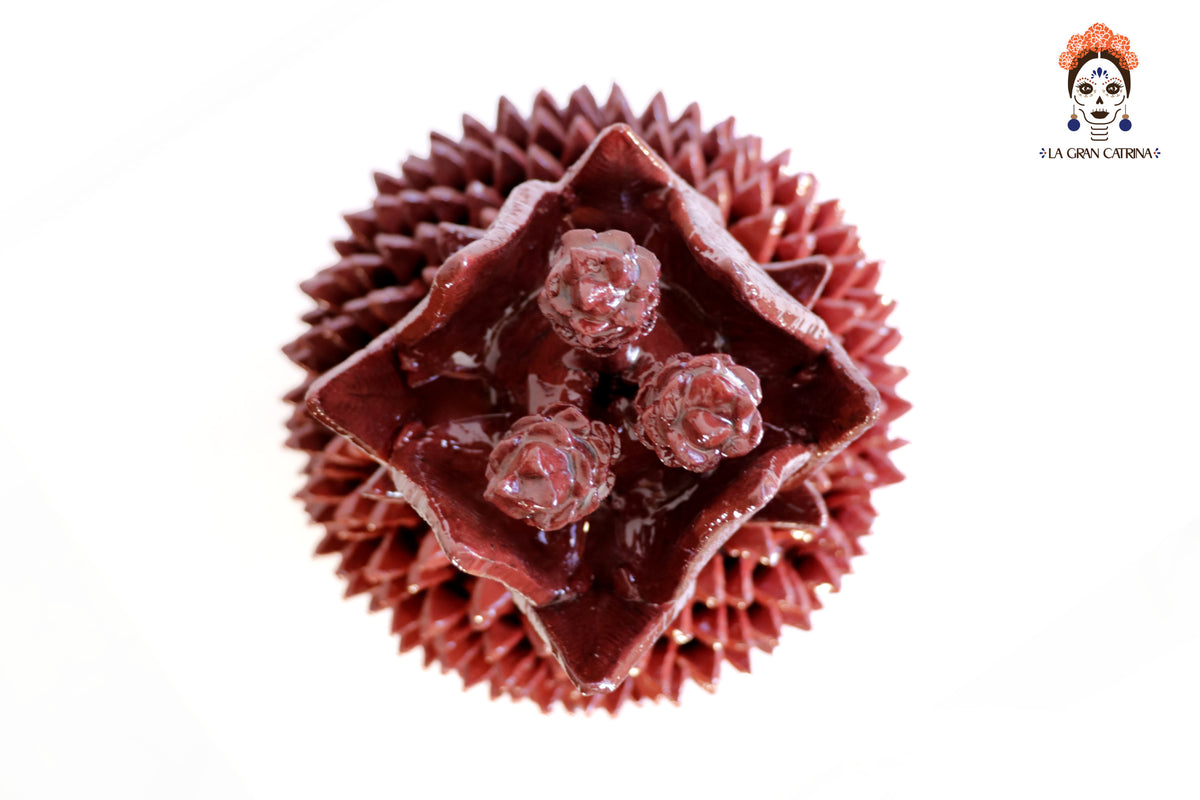 Piña roja de hojas de tapa curveada - 62 cm. 24.4 in.