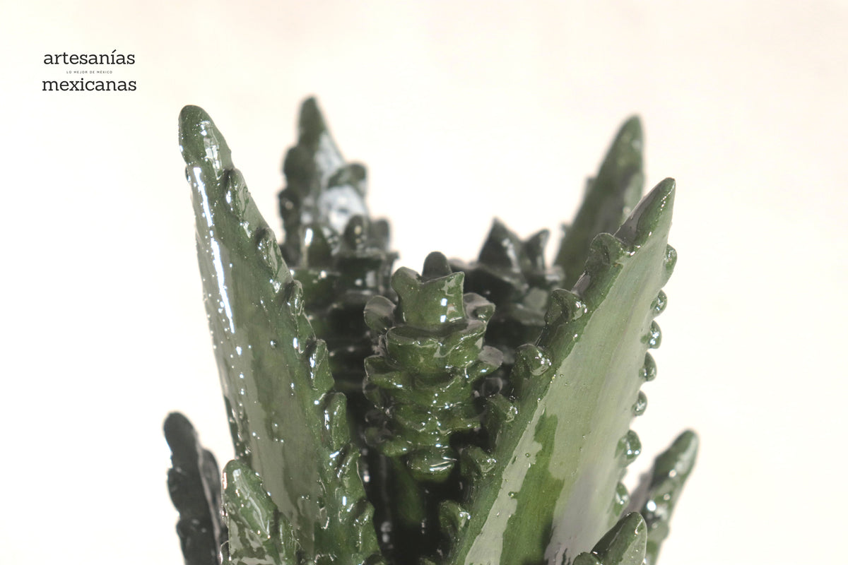 Piña de Agave Jimado - 50 cm. 20 in.