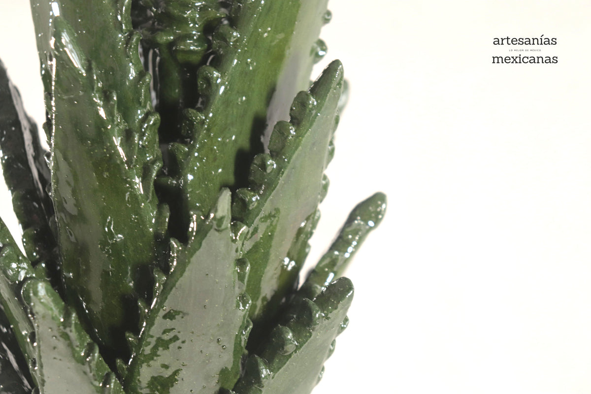 Piña de Agave Jimado - 50 cm. 20 in.