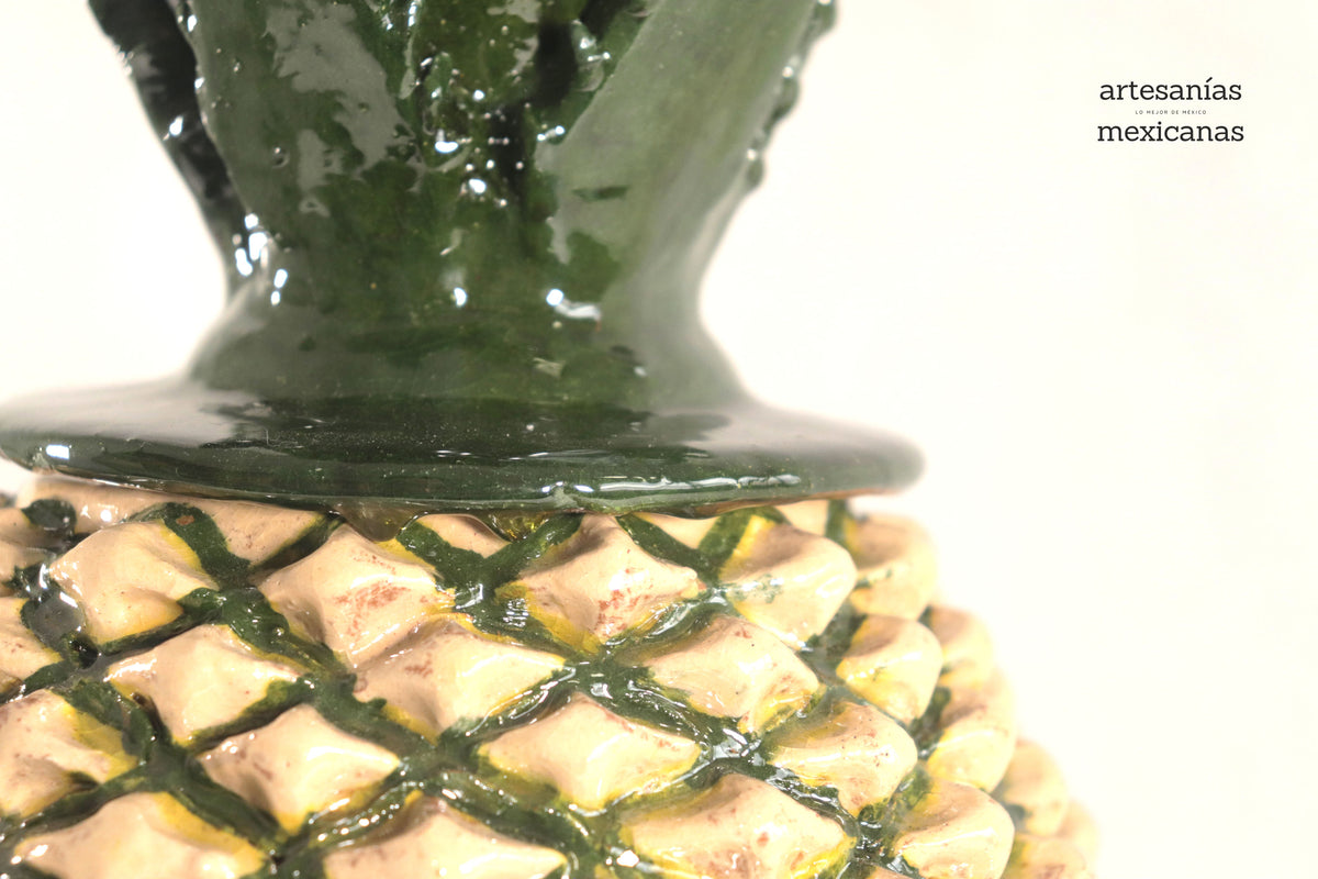 Piña de Agave Jimado - 50 cm. 20 in.