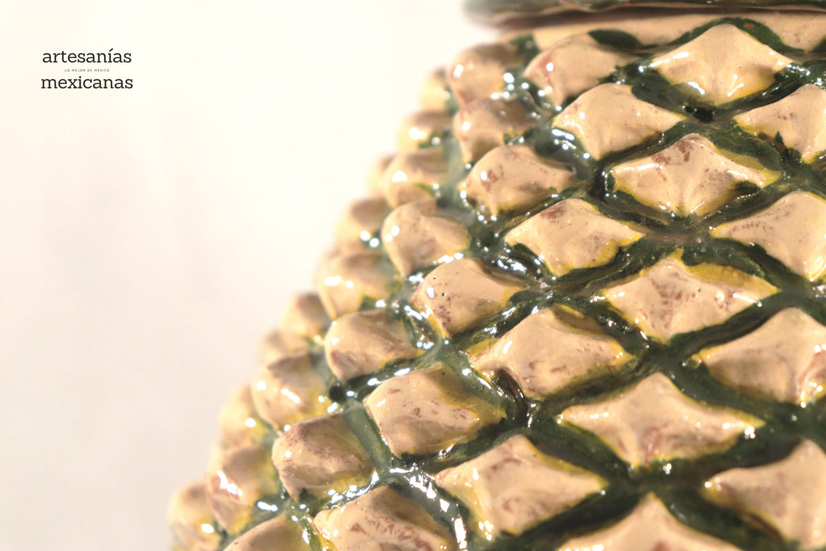 Piña de Agave Jimado - 50 cm. 20 in.