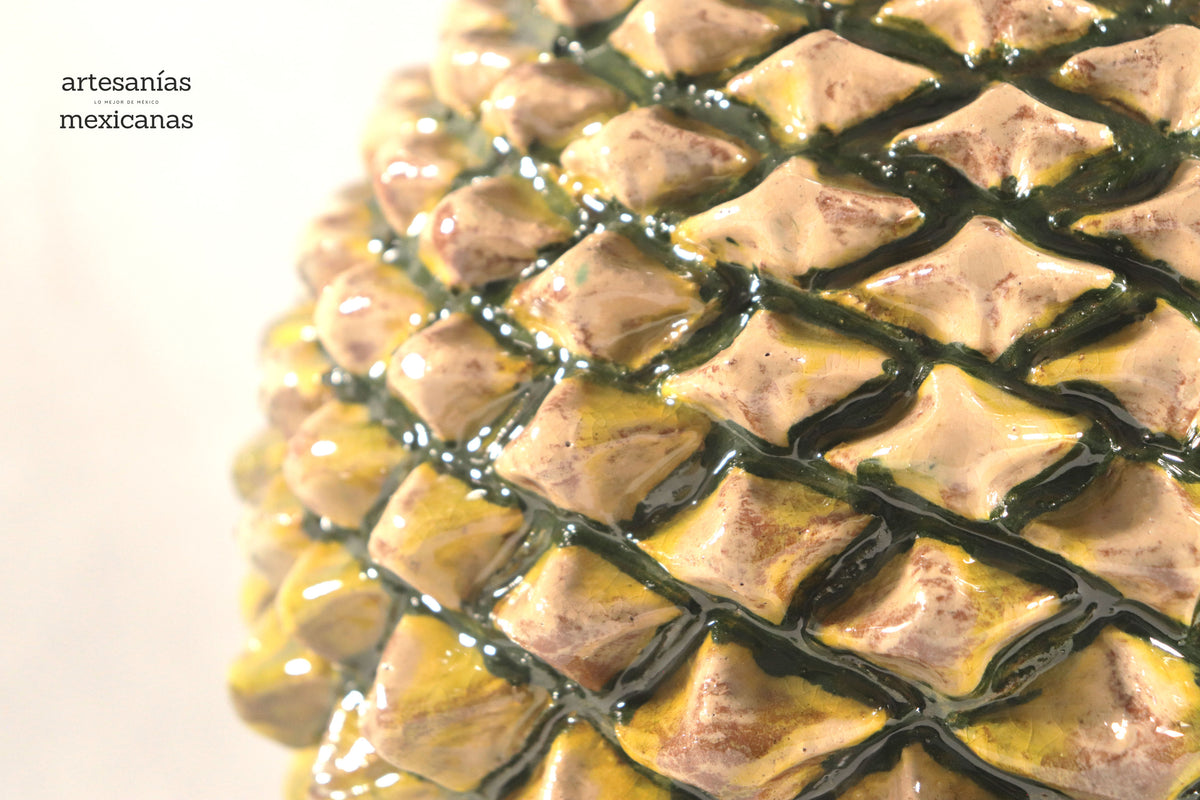 Piña de Agave Jimado - 50 cm. 20 in.