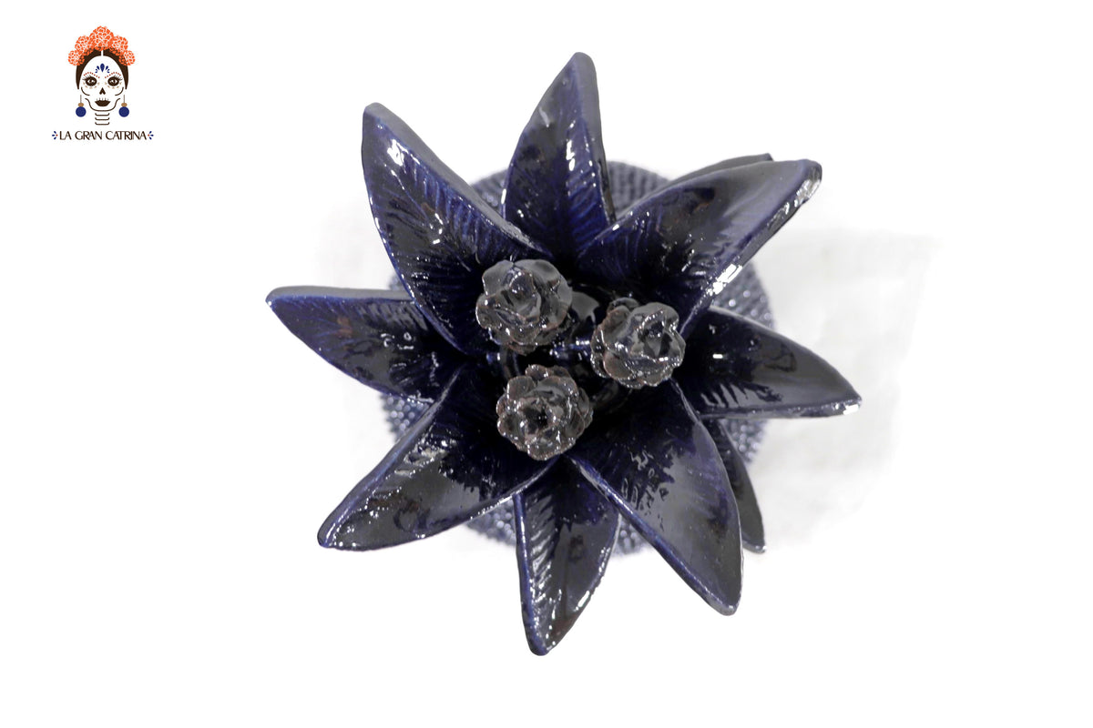 Piña michoacana de barro - Picos azul - 50 cm. 20 in.