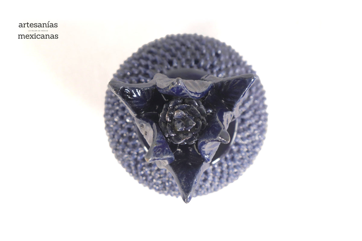 Piña Azul de Picos con Tapa Curveada - 21 cm. 8.5 in.