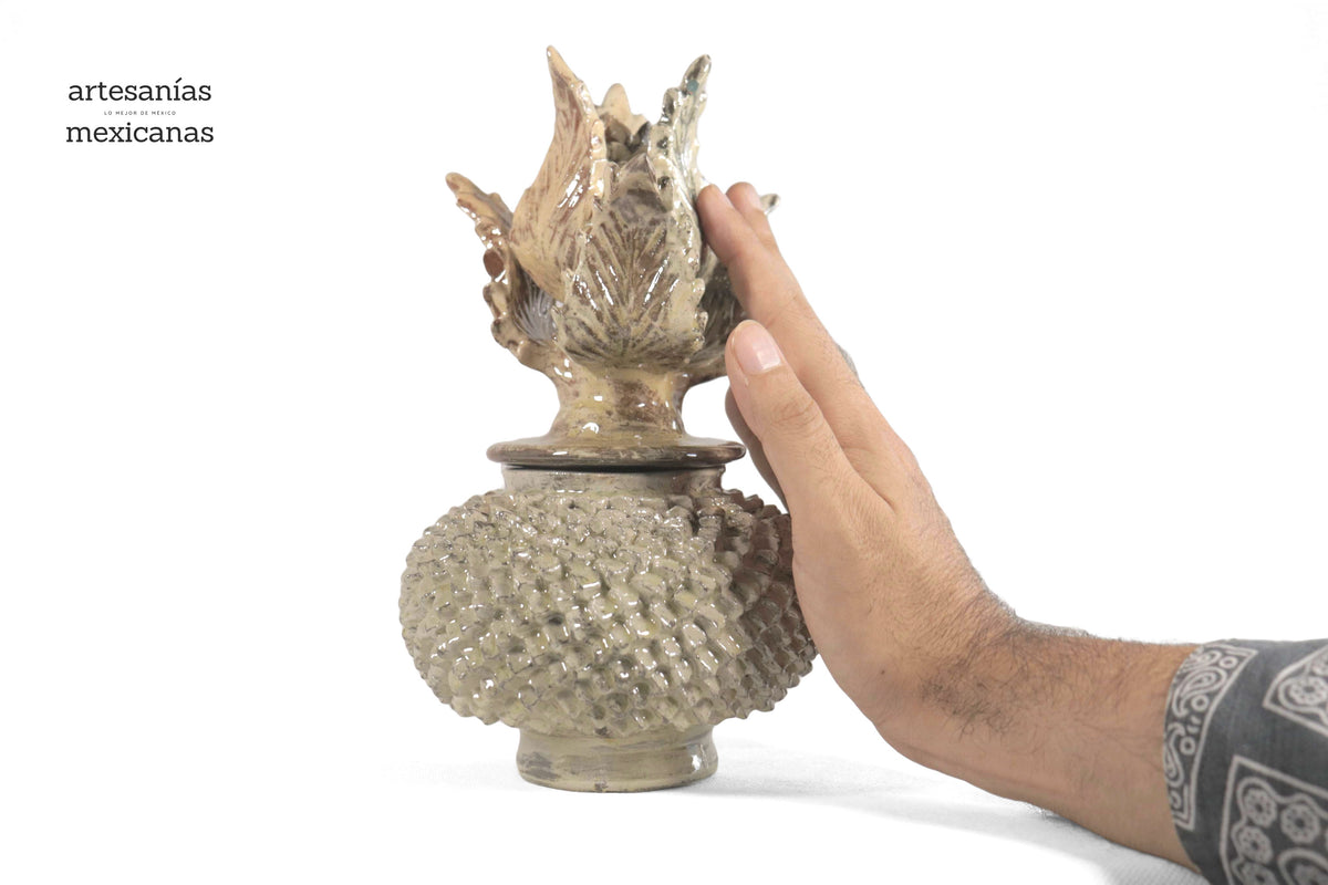 Piña Beige de Picos con Tapa Curveada - 21 cm. 8.5 in.