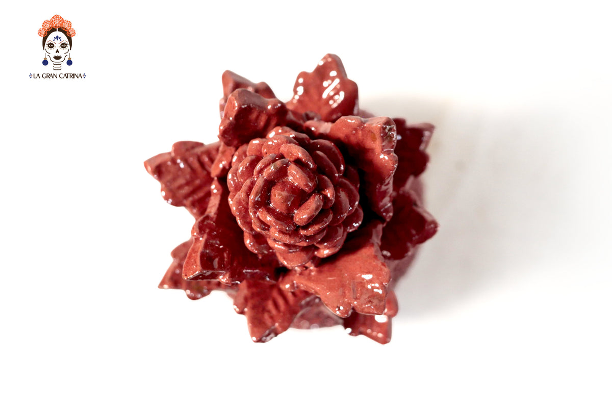 Piña michoacana de barro - Picos rojos - 28 cm. 11 in.