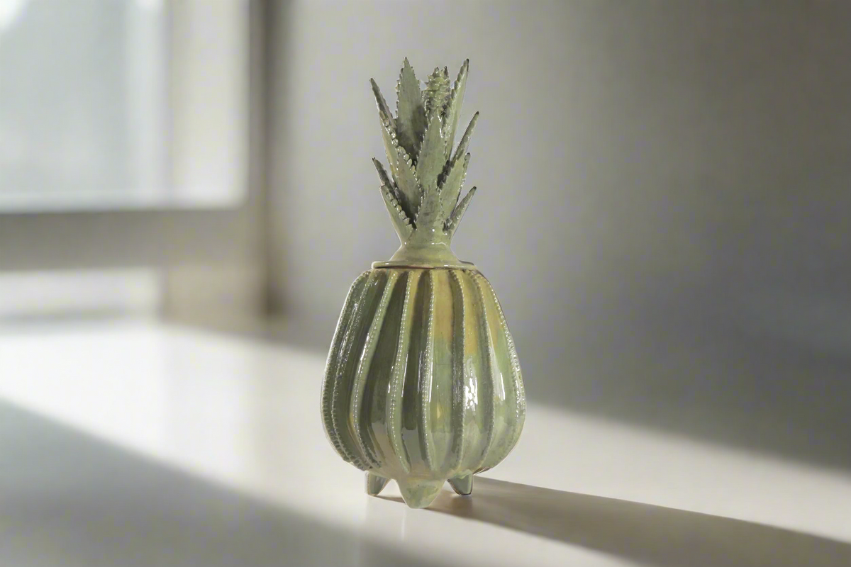 Piña de Agave Jimado - 50 cm. 20 in.