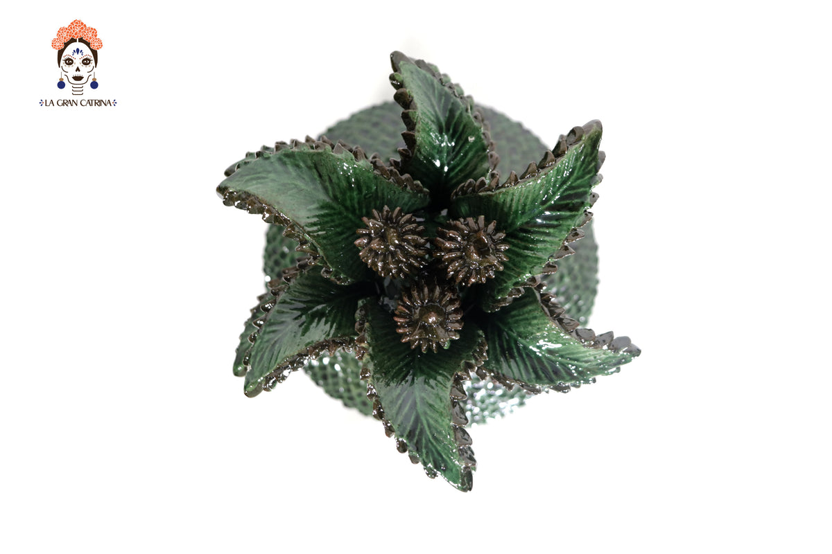 Piña Verde de Picos con Hojas Curveadas - 38 cm. 15 in. - Sobre Pedido