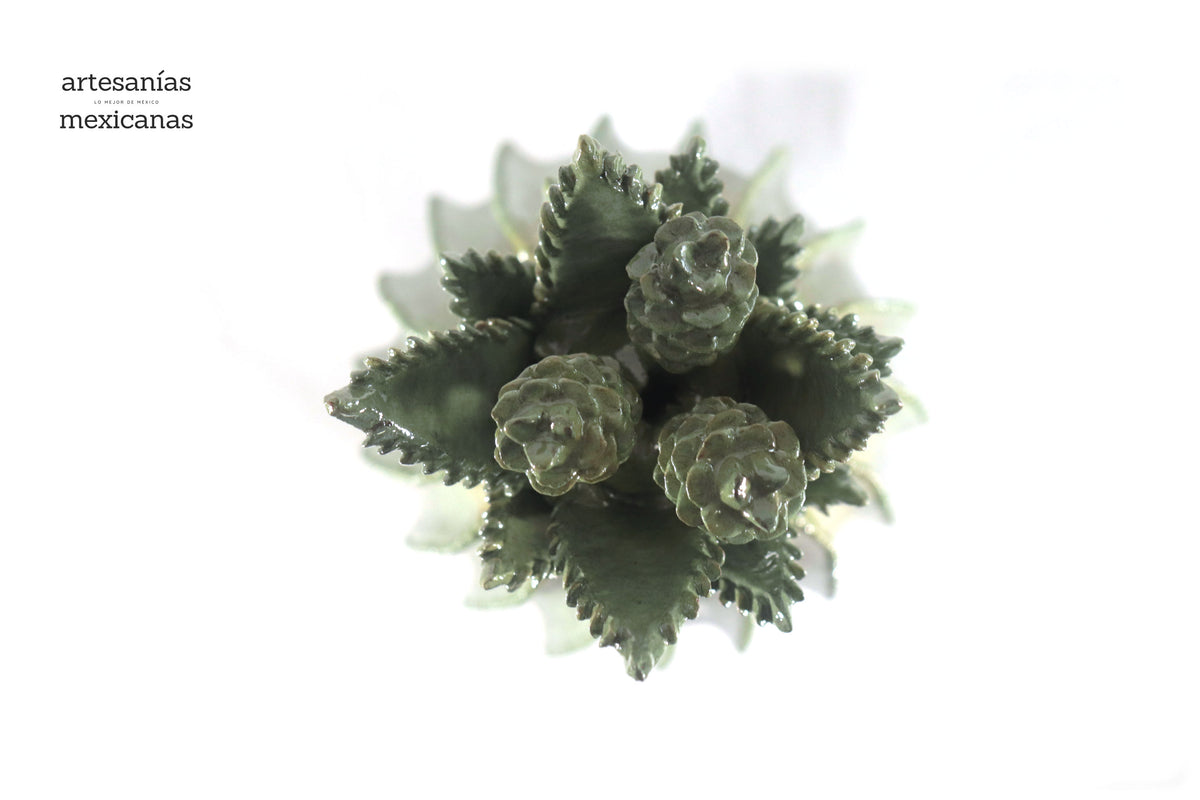 Piña de Agave Jimado - 50 cm. 20 in.
