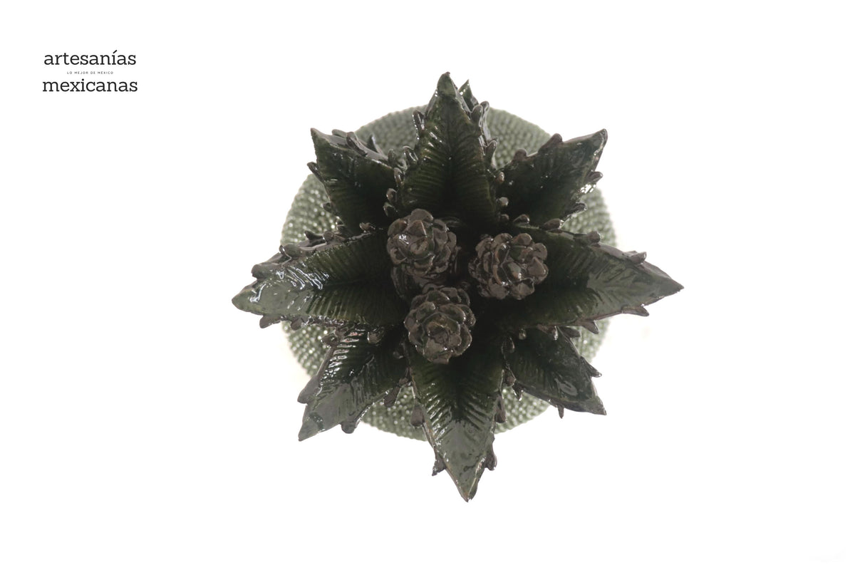 Piña de Picos Verdes - 65 cm 26 in. Piña