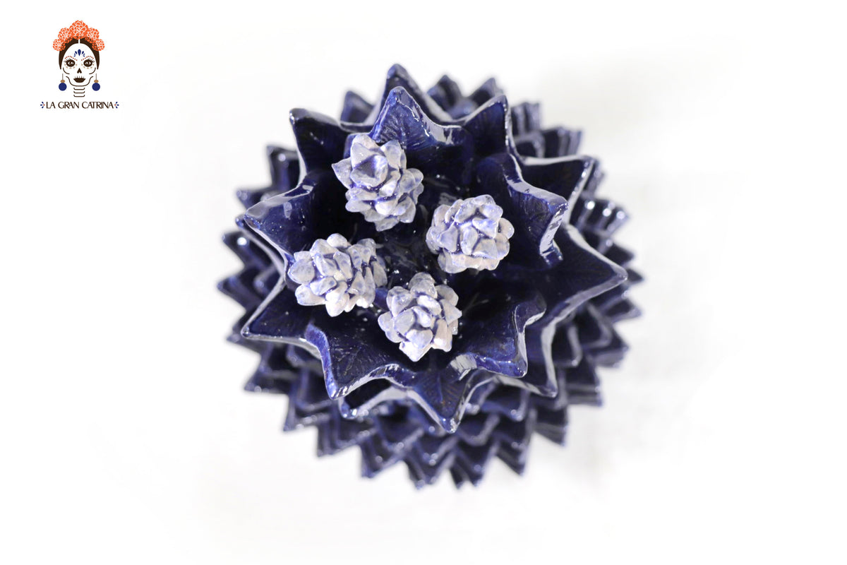 Piña azul de hojas de tapa curveada - 50 cm. 20 in. - Sobre Pedido Sobre pedido